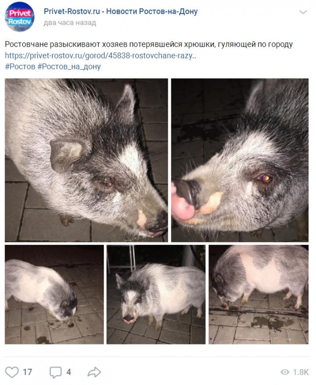 Фотоподборка четверга 03.10.19