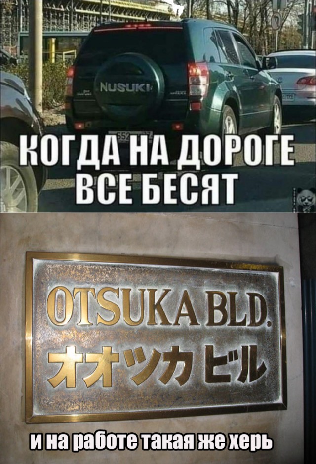 Бредзона картинок 20.11.2019