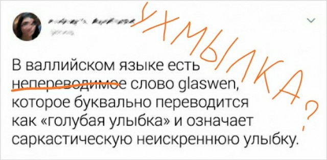 Немного фактов о разных языках мира