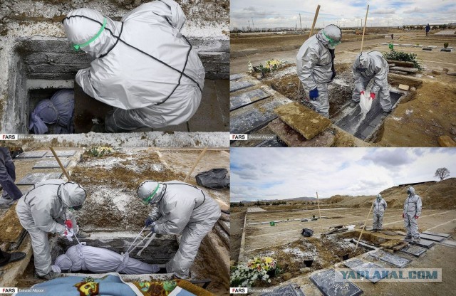 Пандемия. Коронавирус. Россия и мир. Последняя информация. Часть 11