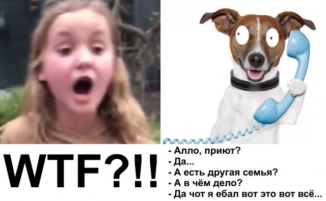 Девчуля получает подарок на день рождения, о котором давно мечтала