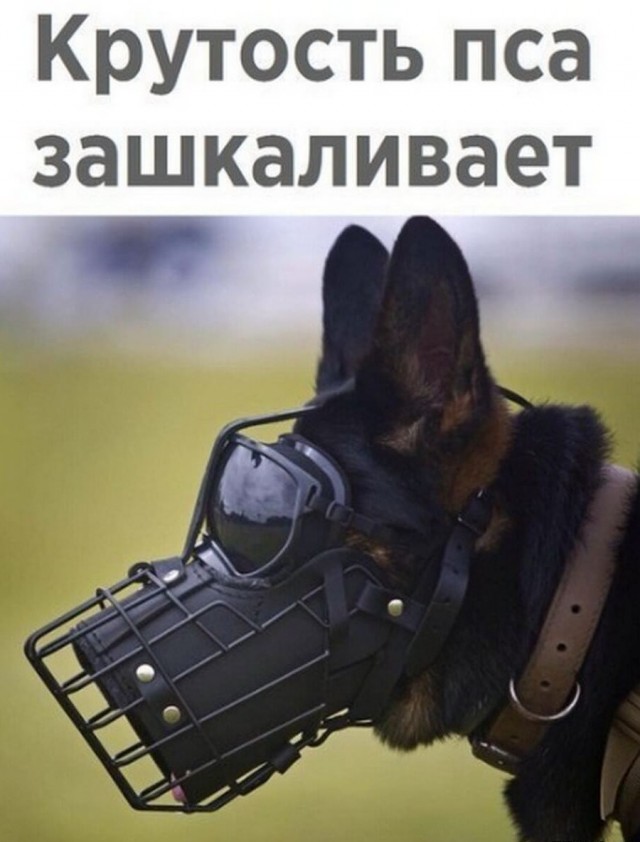 Немного упоротых картинок