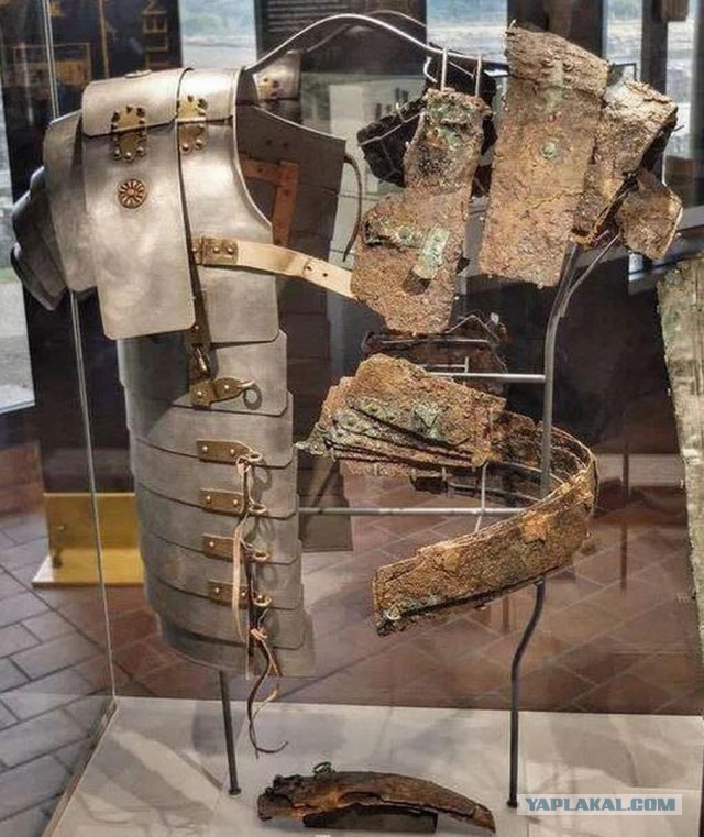 Интересные музейные экспонаты
