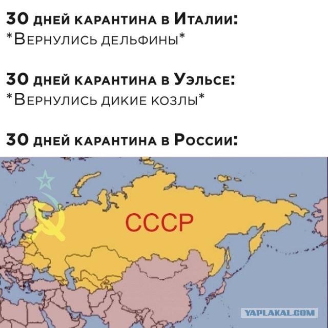 Лукашенко предложил Путину возродить СССР