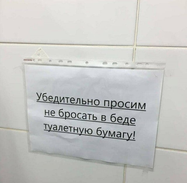 Бредзона 12.11.2020