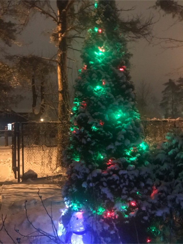 Народ, а давайте своими ёлками делиться и хвастаться? Пора бы уже )