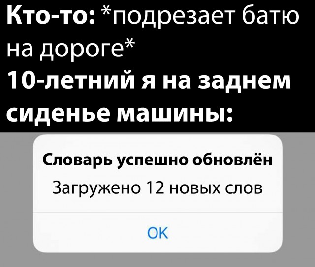 15233980.jpg