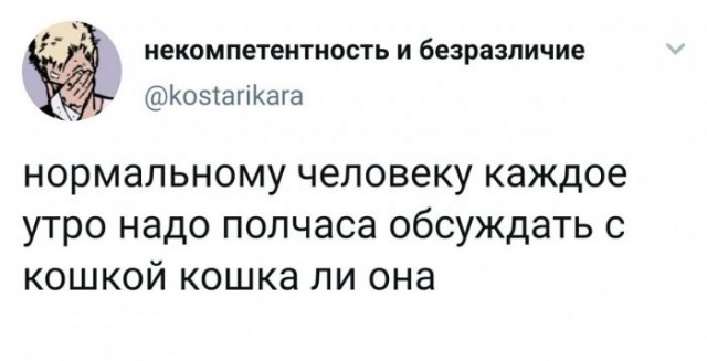 Картинки и мемы для настроения 019