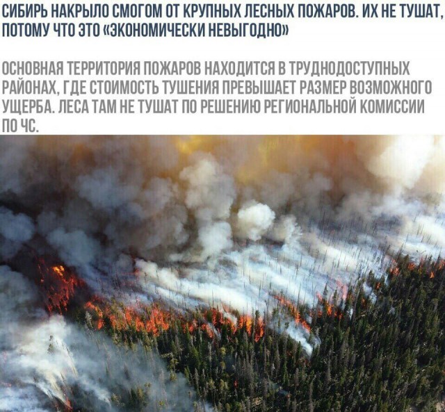 Житель Белгородской области неудачно избавился от мусора и теперь должен государству 17 миллионов рублей