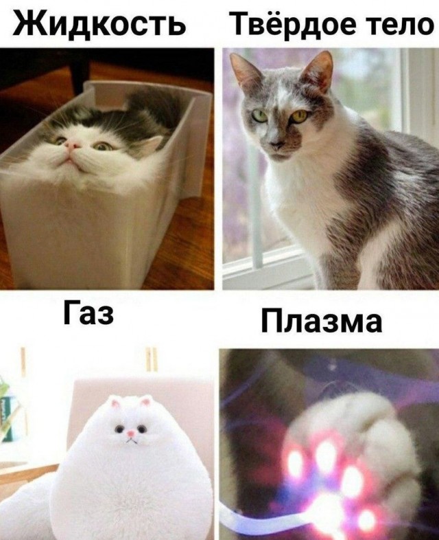 Картинки разные