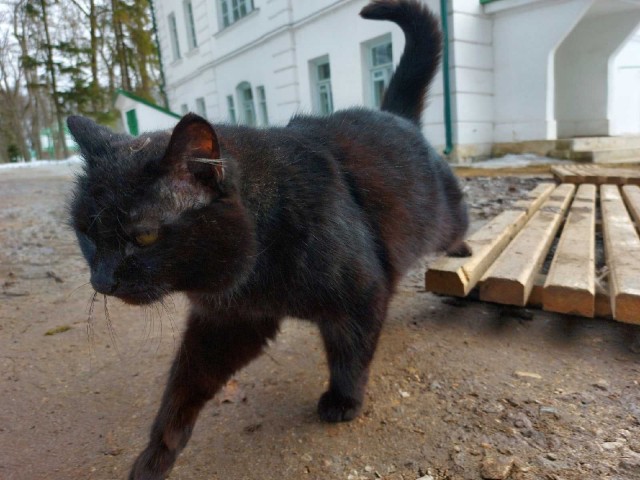 Добрые картинки 28.11.20
