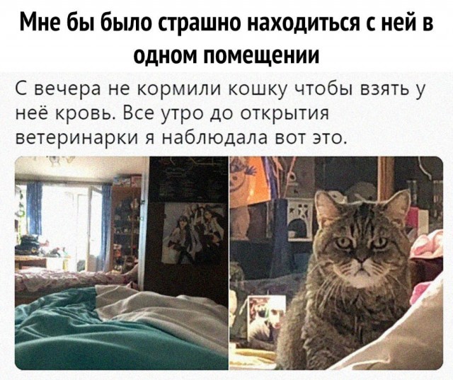 Картинки с надписями и всякие жизненные фразы 20.06.21