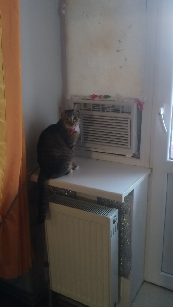 Советский раритет