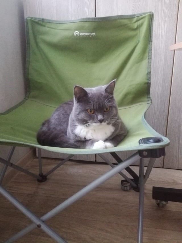 Котовторник. Поговорим о кличках, друзья