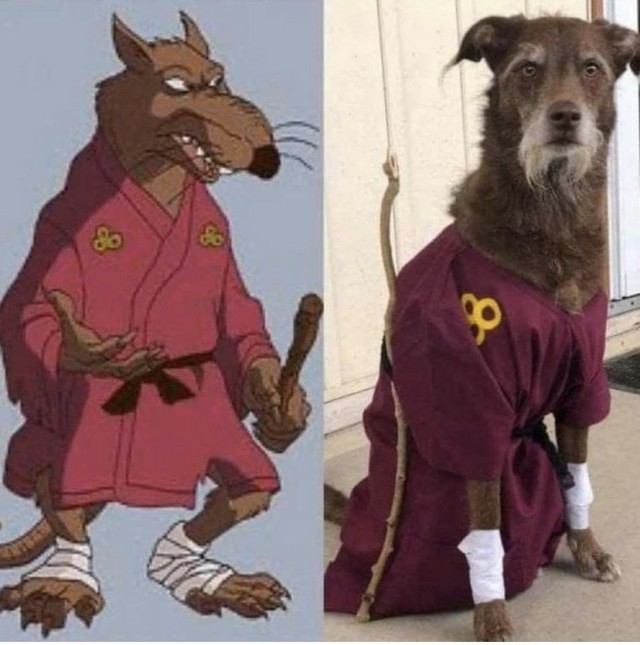 Юмор и прикольные картинки