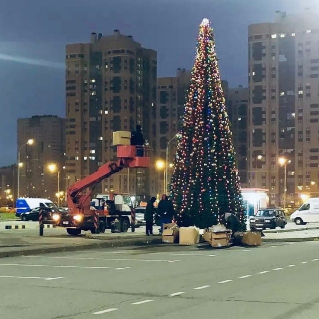 Сегодня днём в Воронеже у гипермаркета на Шишкова установили первую новогоднюю ёлку