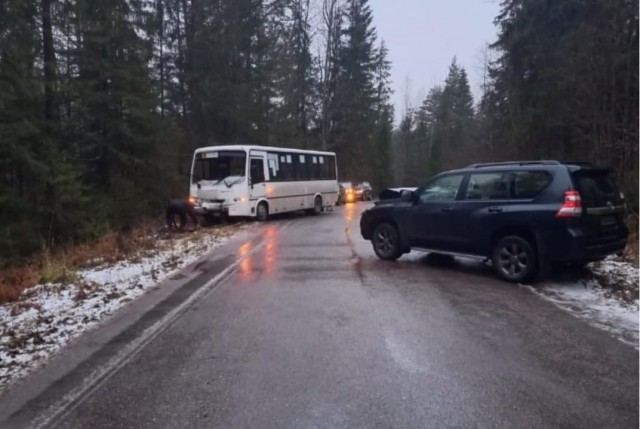 Лобовое столкновение Тойоты Прадо и маршрутки ПАЗ в Ленинградской области