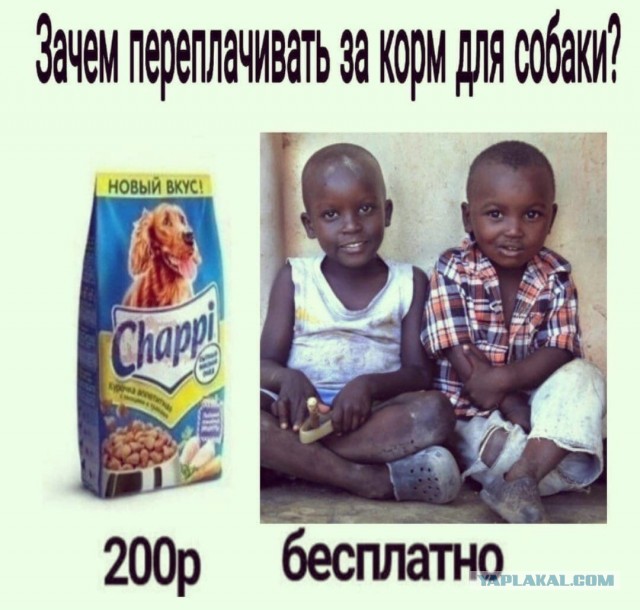 Аморальная деградация