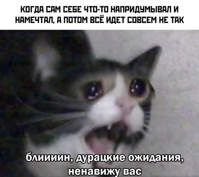 Новогодние и разные картинки