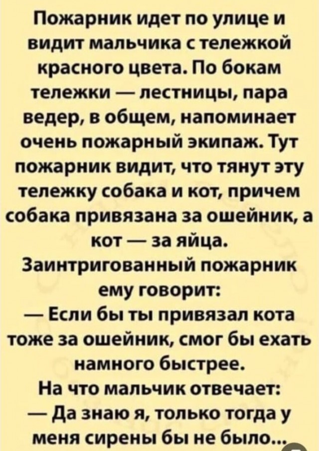Весёлый полтишок 01.02