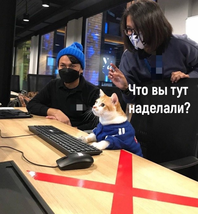 Так себе картинки 17.04.22