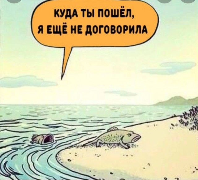 «Живая окаменелость» латимерия