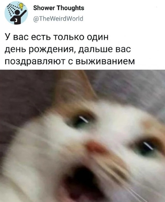 Весёлый полтишок 20.06.22