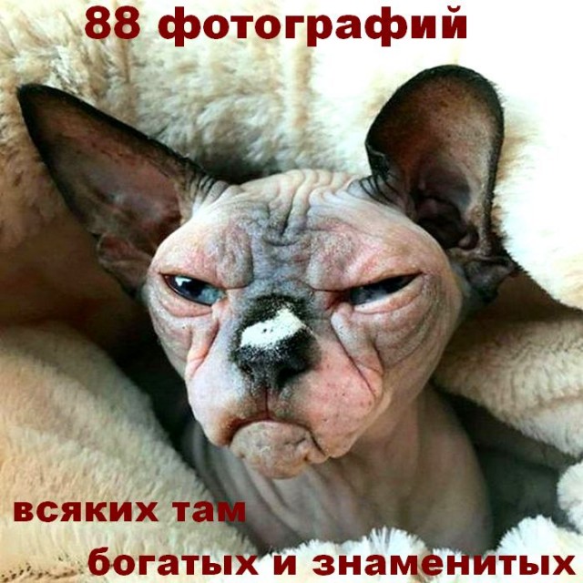 88 фотографий всяких там богатых и знаменитых