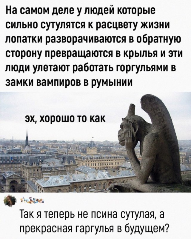 Картинки и мемы для настроения. Выходные рядышком...