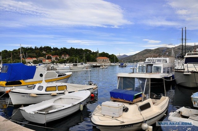 Любовь с первого взгляда