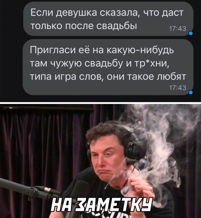 Весёлый полтишок 30.08.22