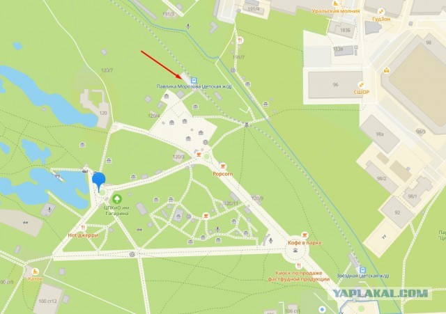 Челябинск Парк Гагарина или Городской Бор. Осень