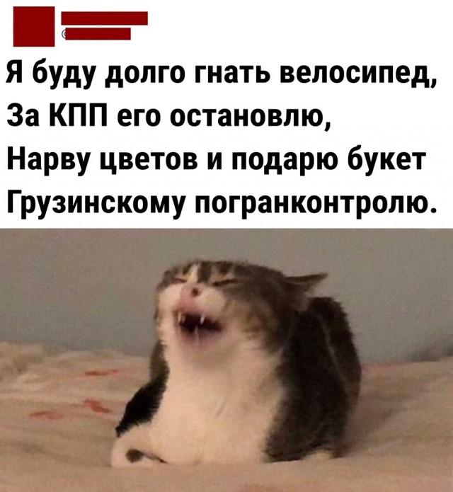 Так себе картинки 01.10.22