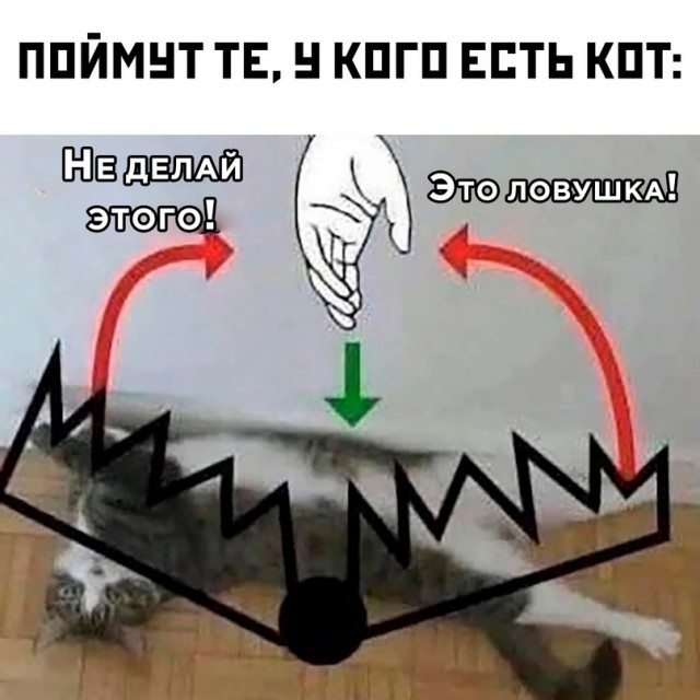 Картинки и мемы, всем хороших выходных