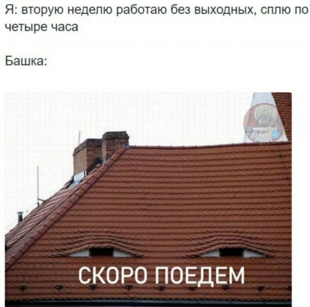 Так себе картинки 07.11.22