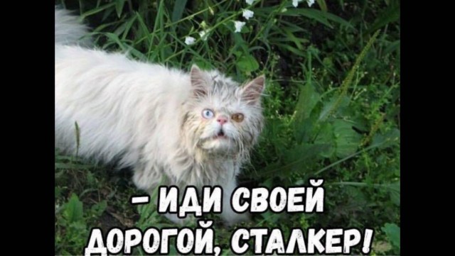 Матёрый...