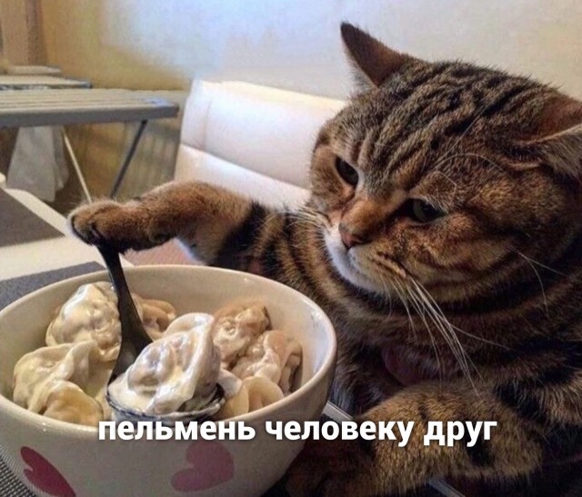 Уходящая традиция: домашние пельмени