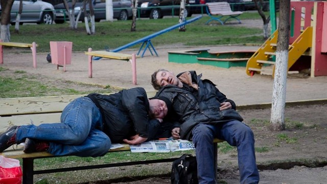 «Ночью пришли и легли». Жители посёлка в Брянской области пожаловались на лошадей, отдыхающих на детской площадке