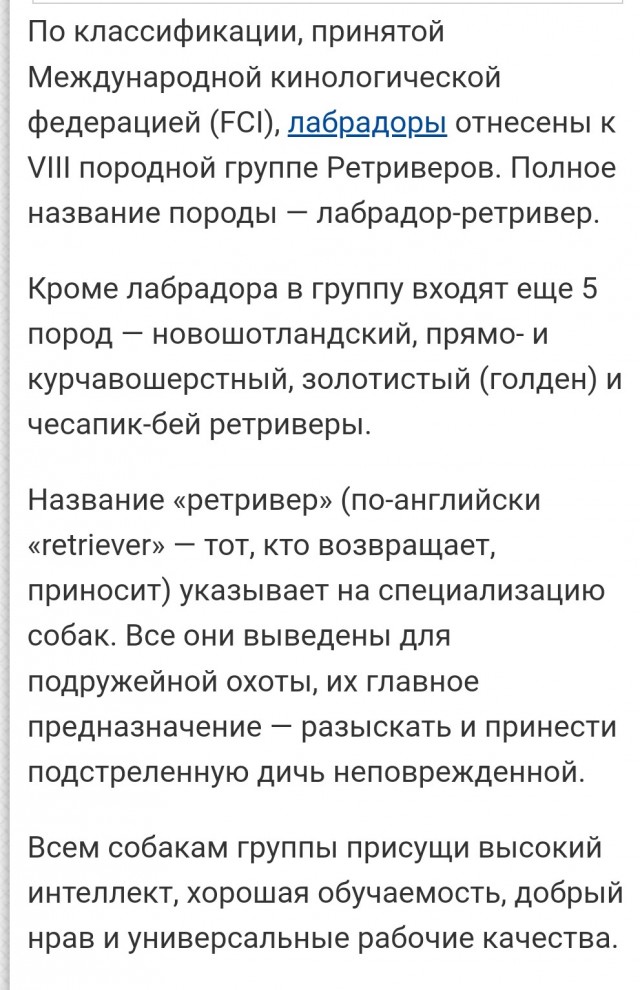 Счастливые дети