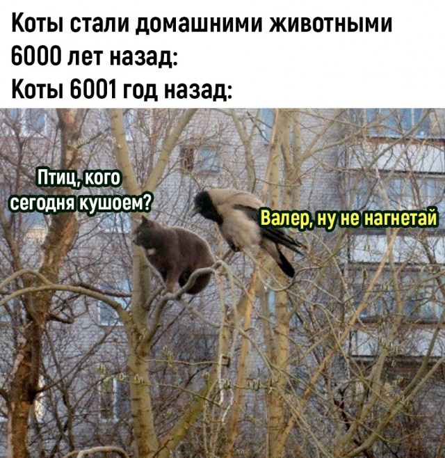 Так себе картинки 04.09.23