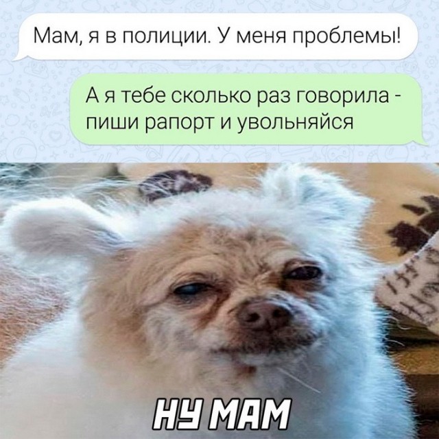 Скриншоты и комментарии из социальных сетей 29.09.23
