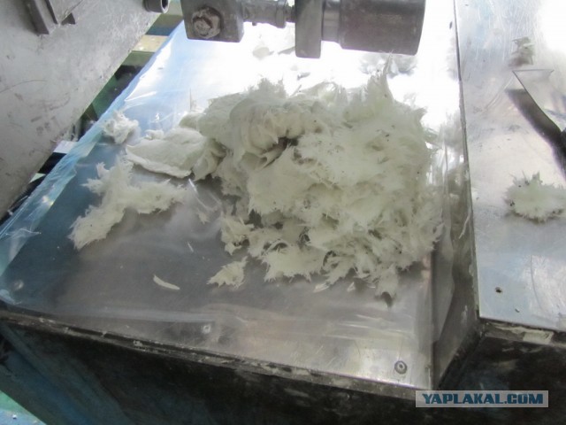 Тем временем в Южной Корее