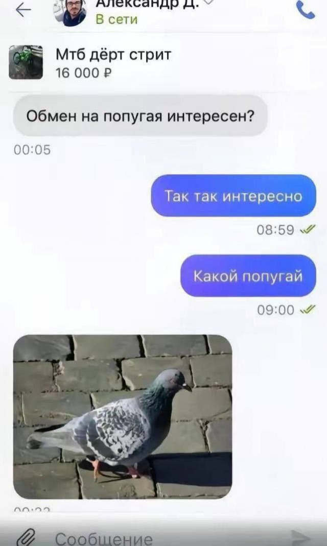 Народная меДИЧина 7037