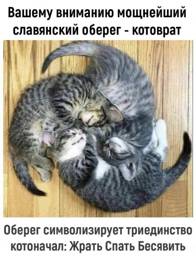 Просто картинки из сети