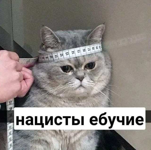 Чмо из ДОМ-2