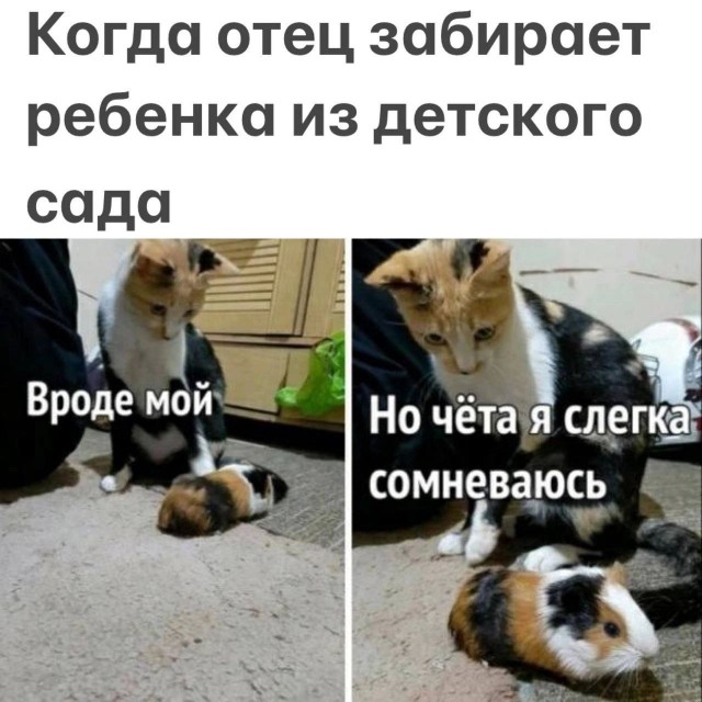 Так себе картинки 16.02.24
