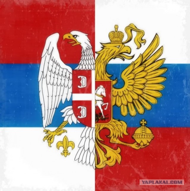 Кто воевал на стороне Сталина!