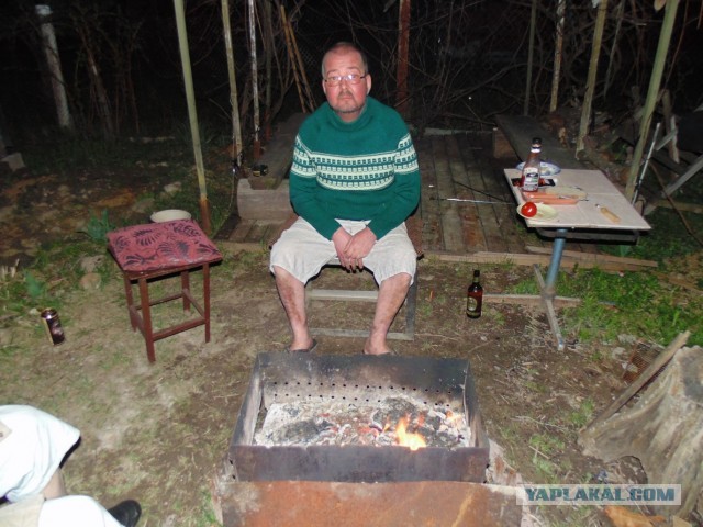 Дача, грибы, мясо, овощи.