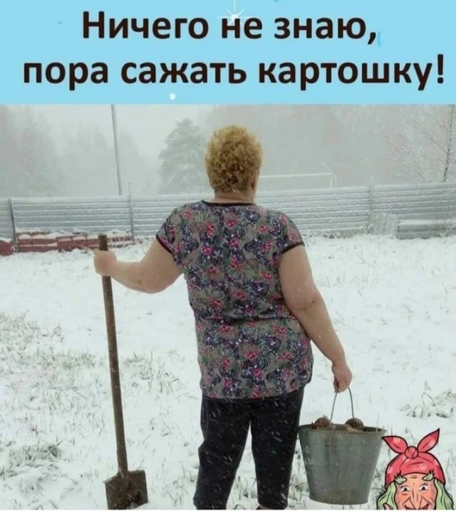 Это май баловник, это май чародей...