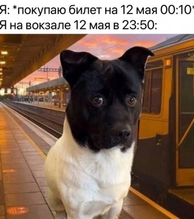 Завалялось тут случайно немного забавных картинок